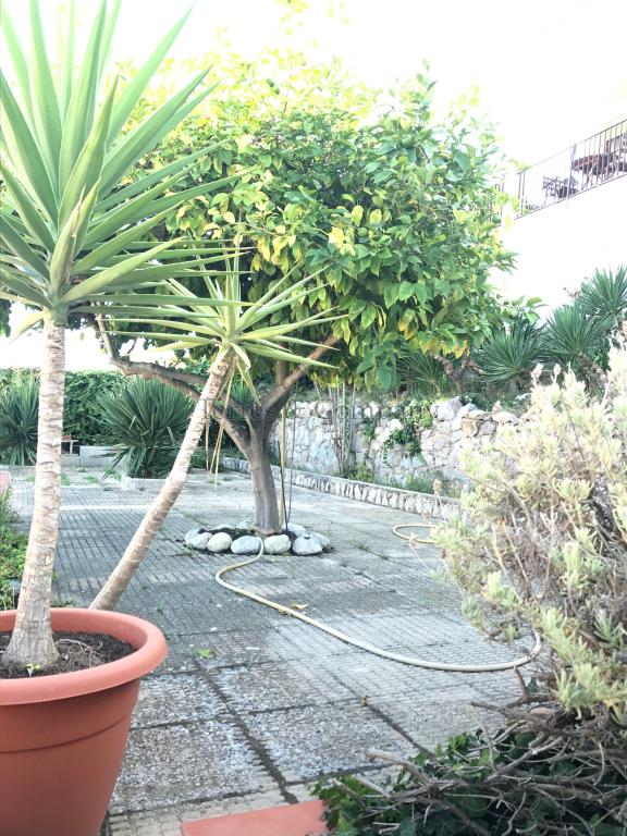 Chalet – Cubelles 150.00 m2 photo3