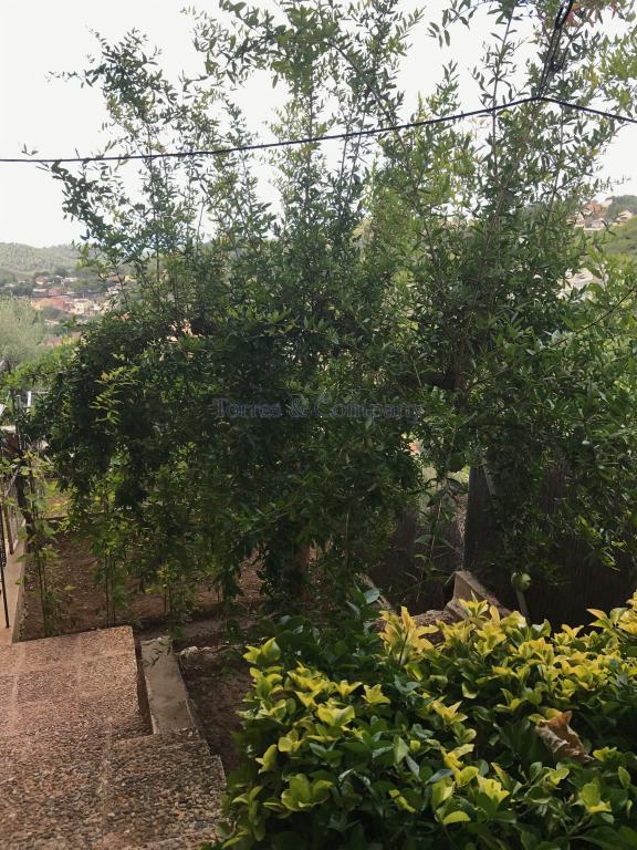 Chalet – Cubelles 120.00 m2 photo17