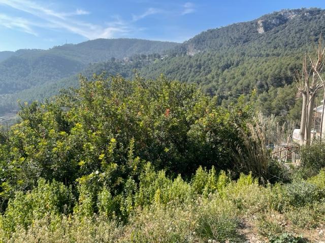 – Vallirana  m2 photo13