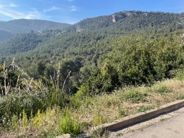 – Vallirana  m2 photo9