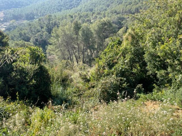 – Vallirana  m2 photo10