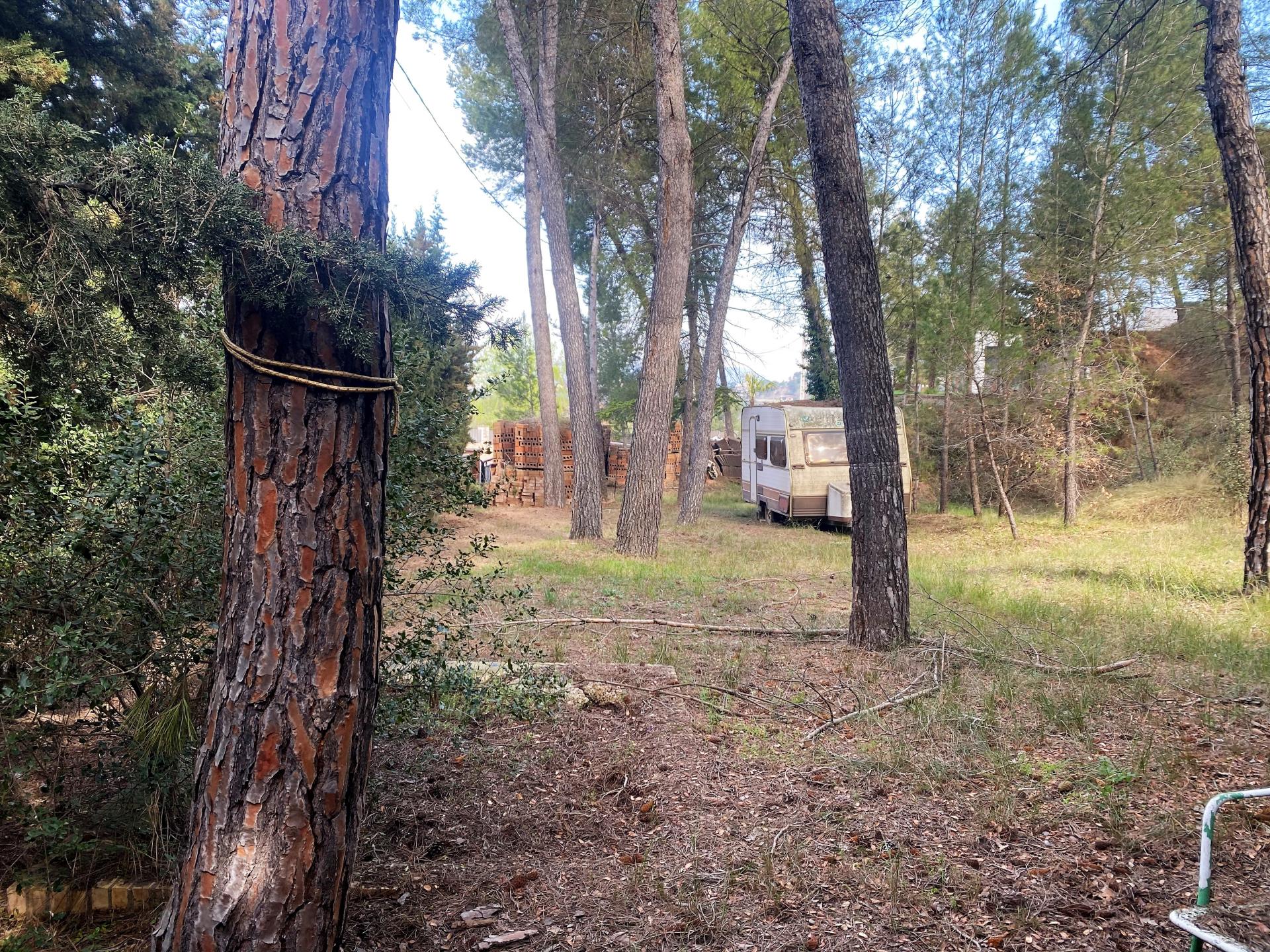 – Sant Fruitós de Bages  m2 photo8