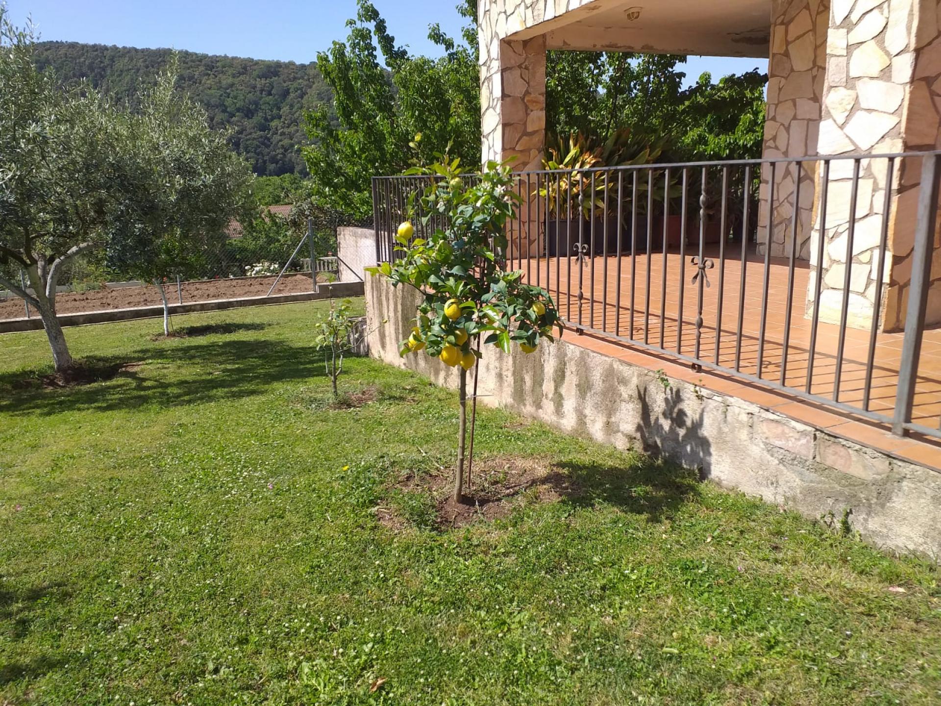 Chalet – Grions 322.00 m2 photo26