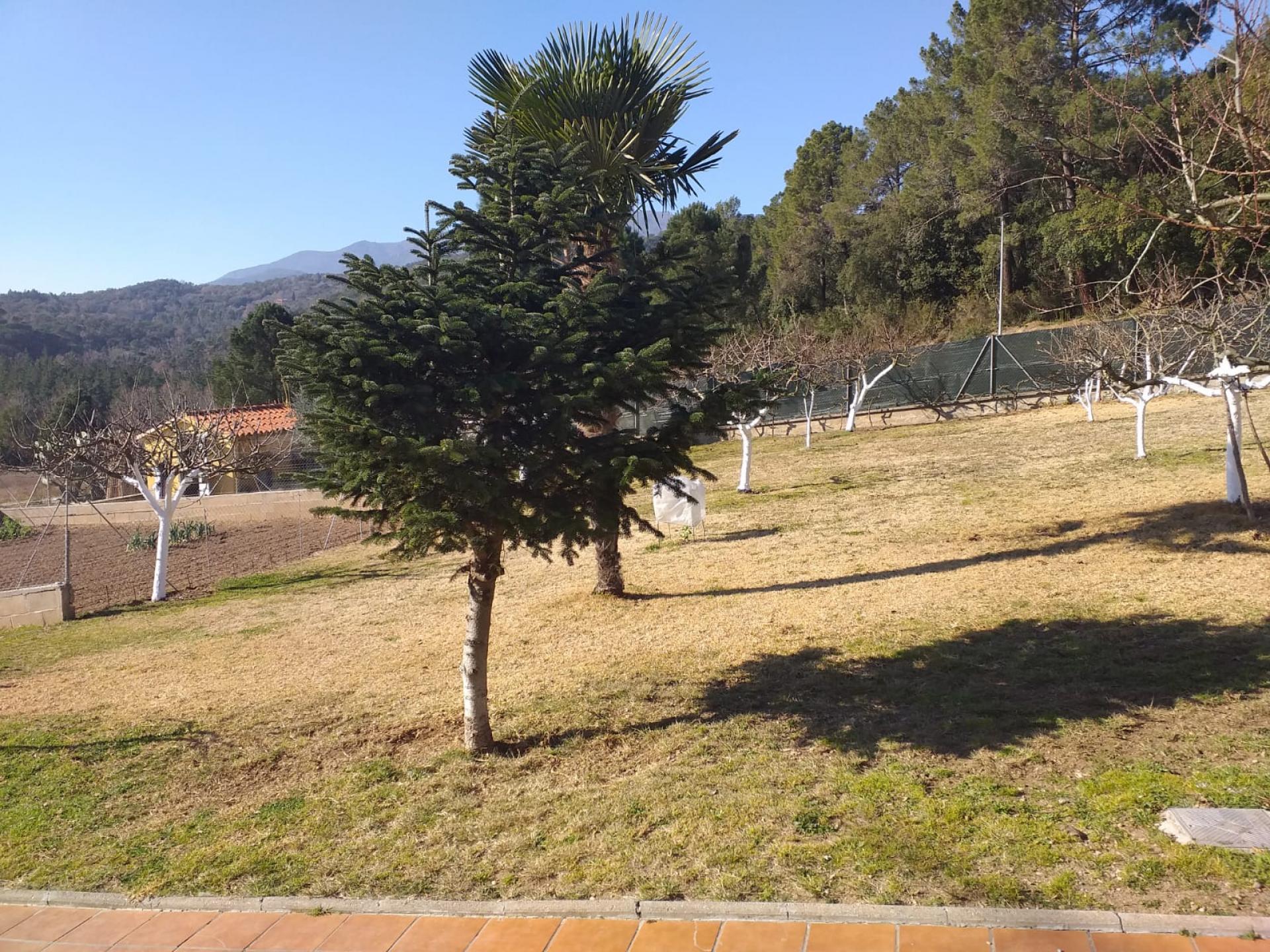 Chalet – Grions 322.00 m2 photo28