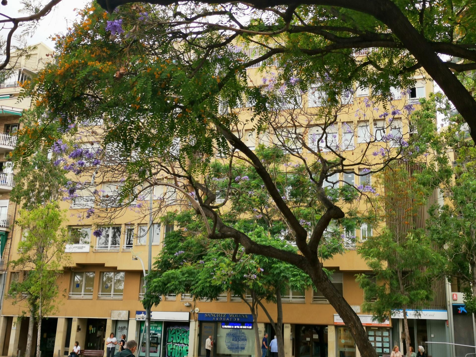 Piso – Barcelona 77.00 m2 photo24