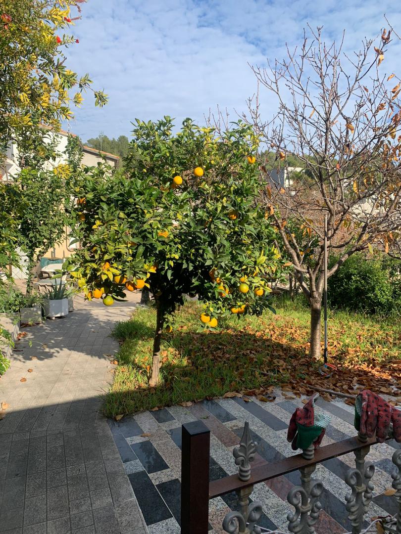 Unifamiliar aislada – Castelldefels 368.00 m2 photo60