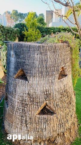 Chalet – Sabadell 311.00 m2 photo95