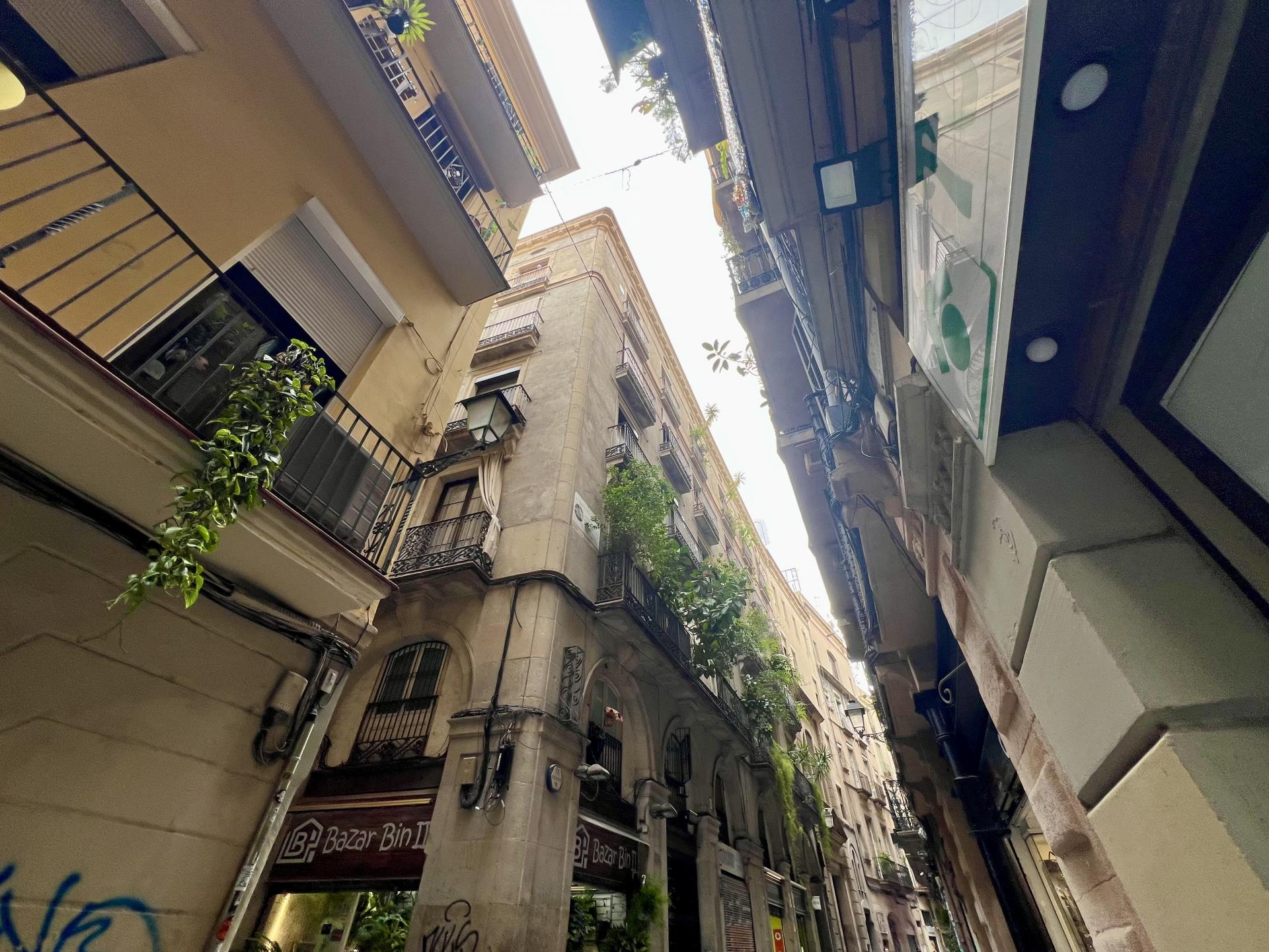 Piso – Barcelona 222.00 m2 photo61