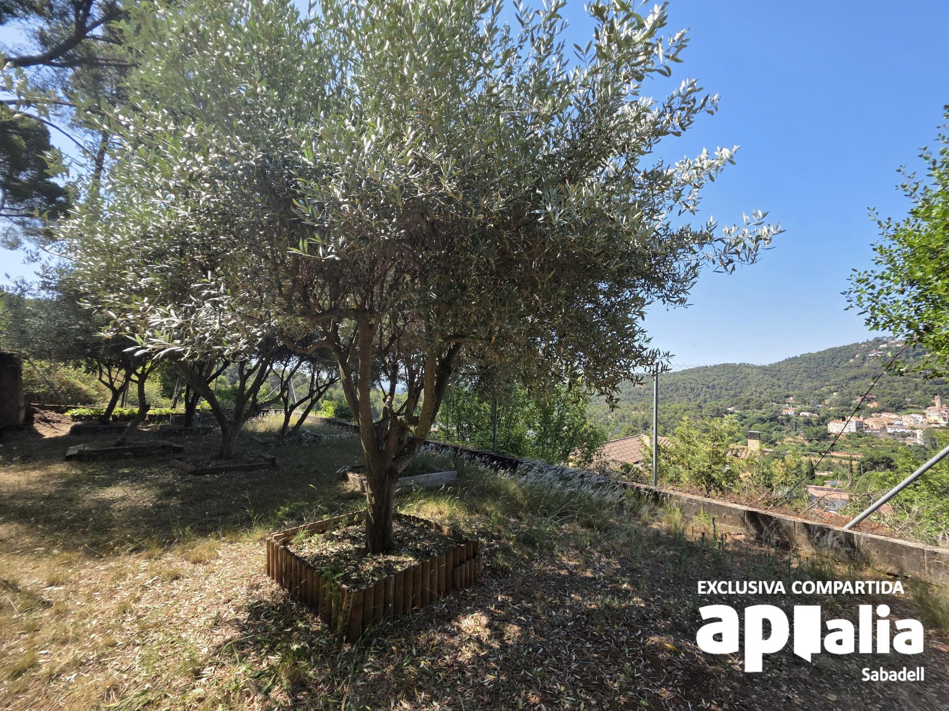 Chalet – Castellar del Vallès 265.00 m2 photo52