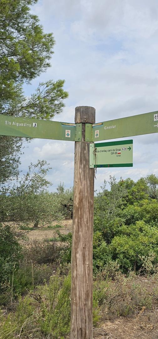 Suelo rústico – Mora d Ebre  m2 photo26