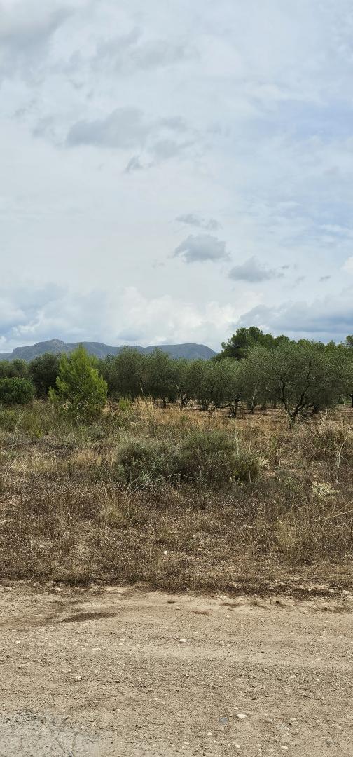 Suelo rústico – Mora d Ebre  m2 photo25