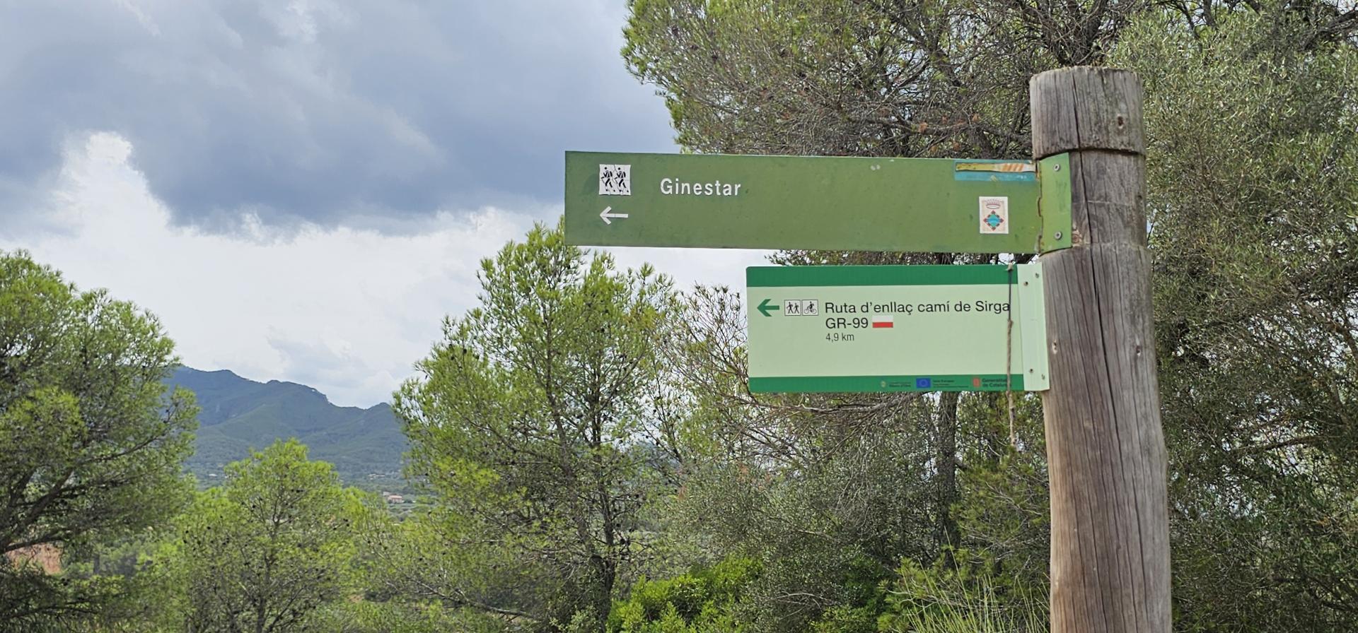 Suelo rústico – Mora d Ebre  m2 photo28