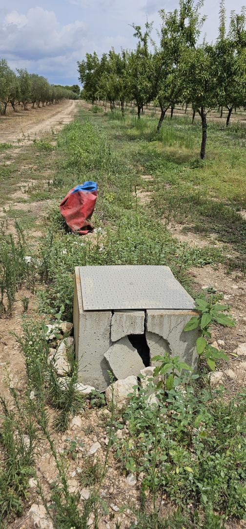 Suelo rústico – Mora d Ebre  m2 photo10