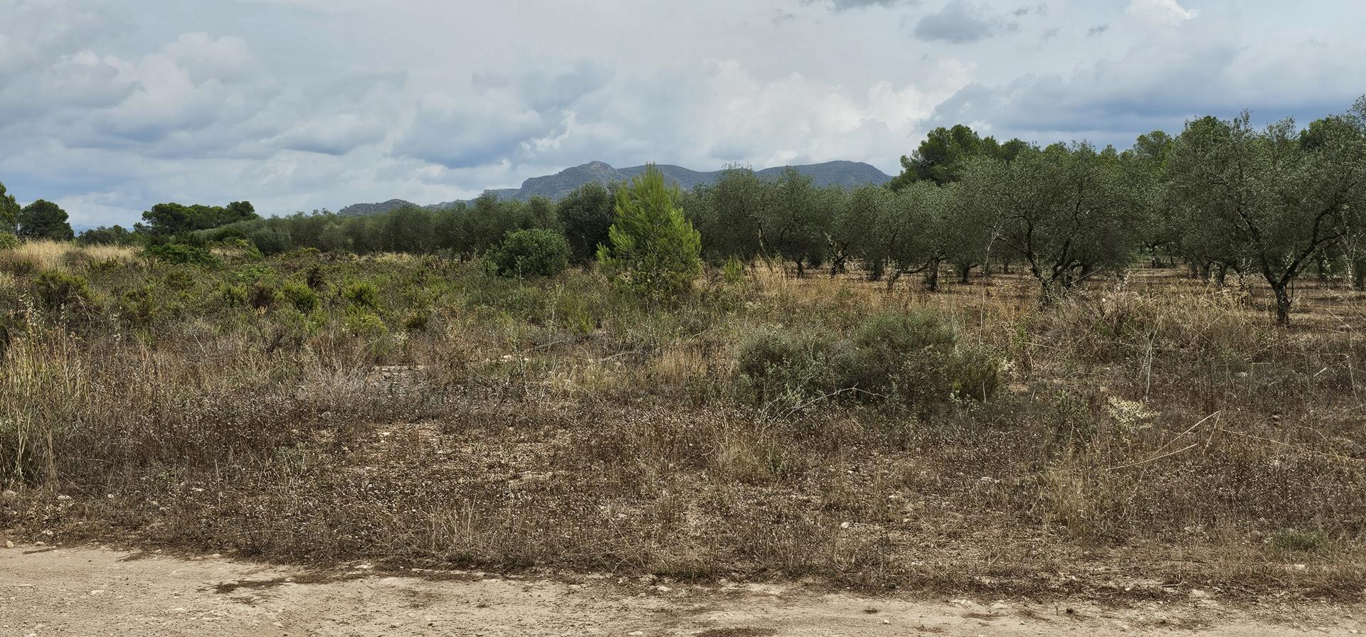 Suelo rústico – Mora d Ebre  m2 photo24