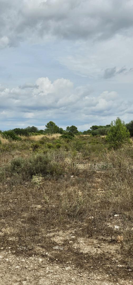 Suelo rústico – Mora d Ebre  m2 photo22