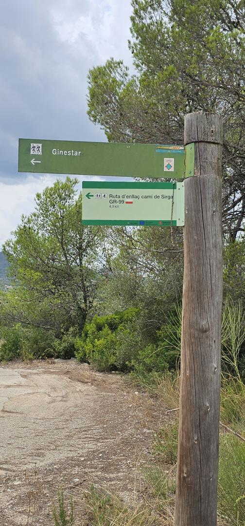 Suelo rústico – Mora d Ebre  m2 photo30