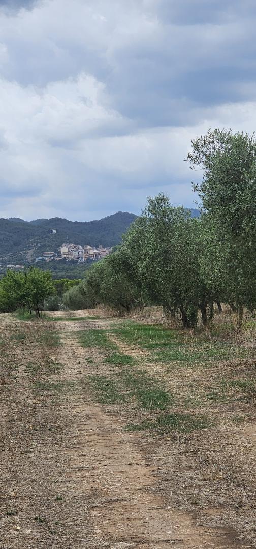 Suelo rústico – Mora d Ebre  m2 photo35