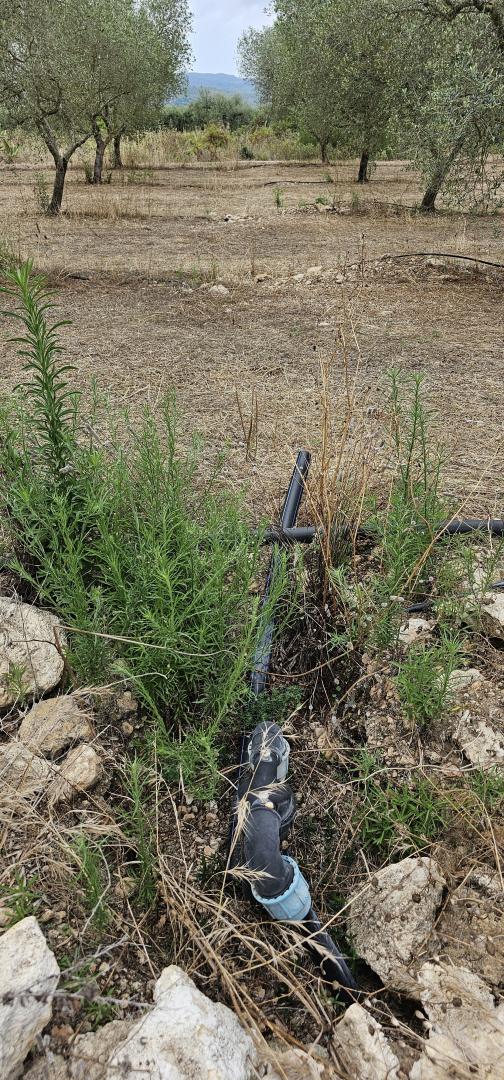 Suelo rústico – Mora d Ebre  m2 photo34