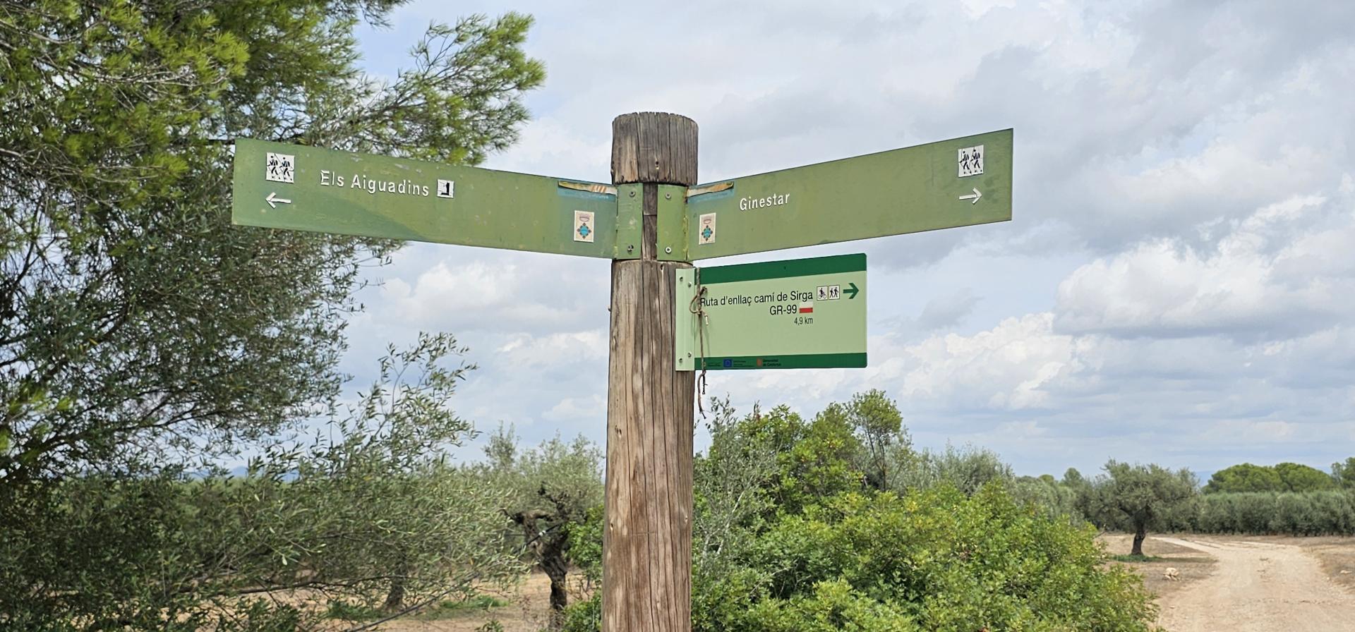 Suelo rústico – Mora d Ebre  m2 photo27