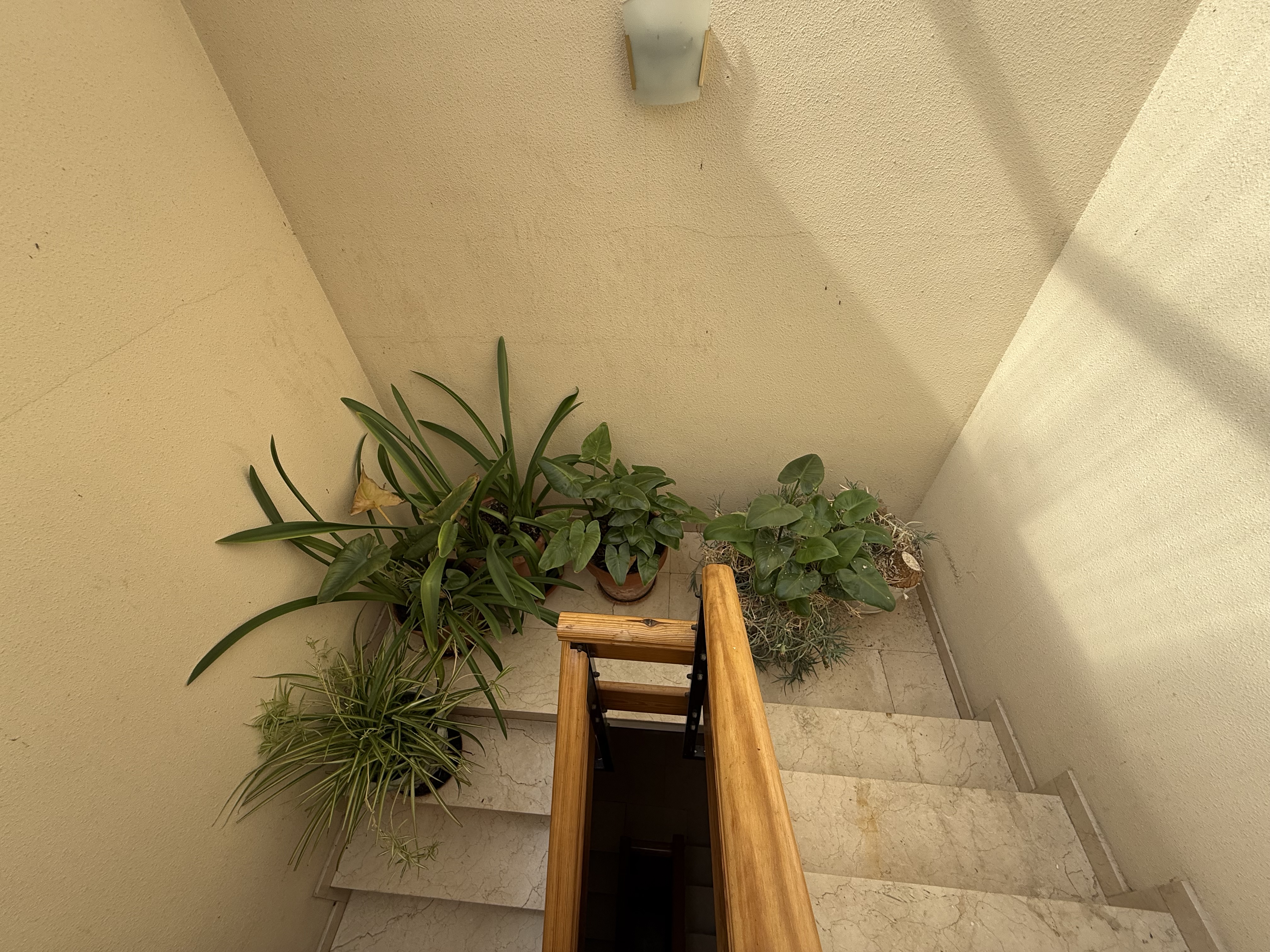 Piso – Santa Eugènia de Berga 190.00 m2 photo50