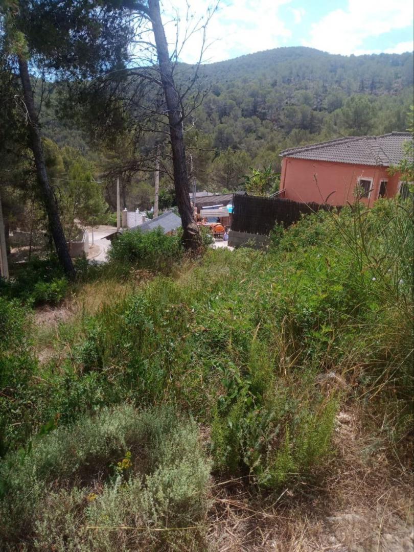 Suelo urbano – Canyelles  m2 photo2