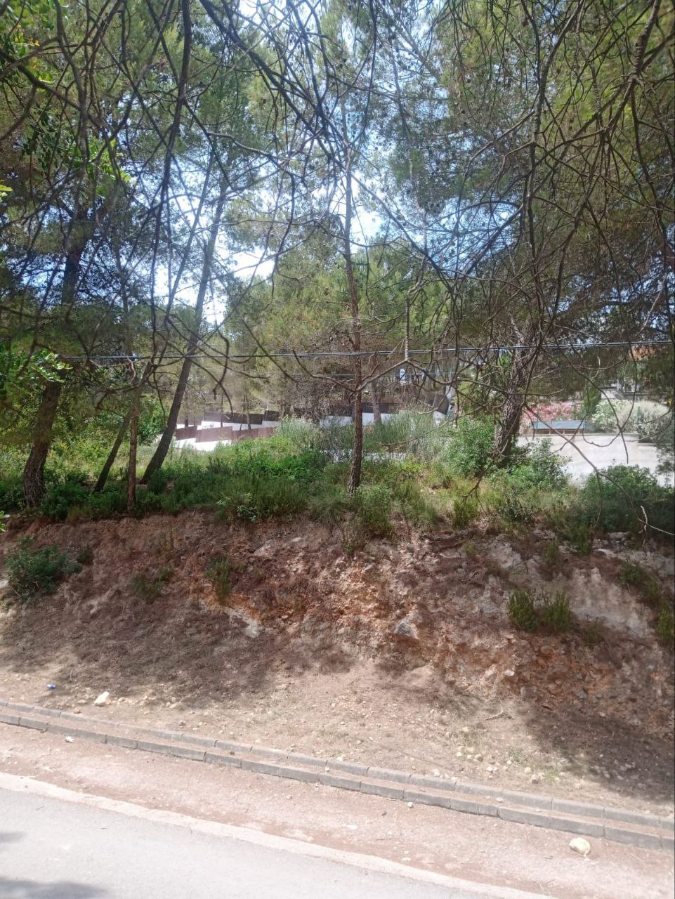 Suelo urbano – Canyelles  m2 photo4