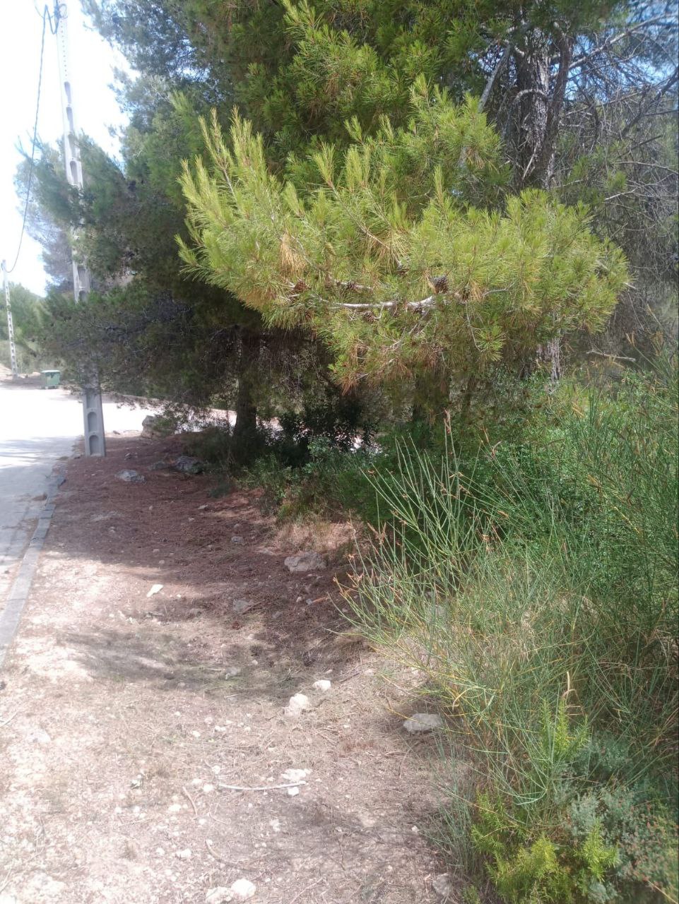 Suelo urbano – Canyelles  m2 photo5