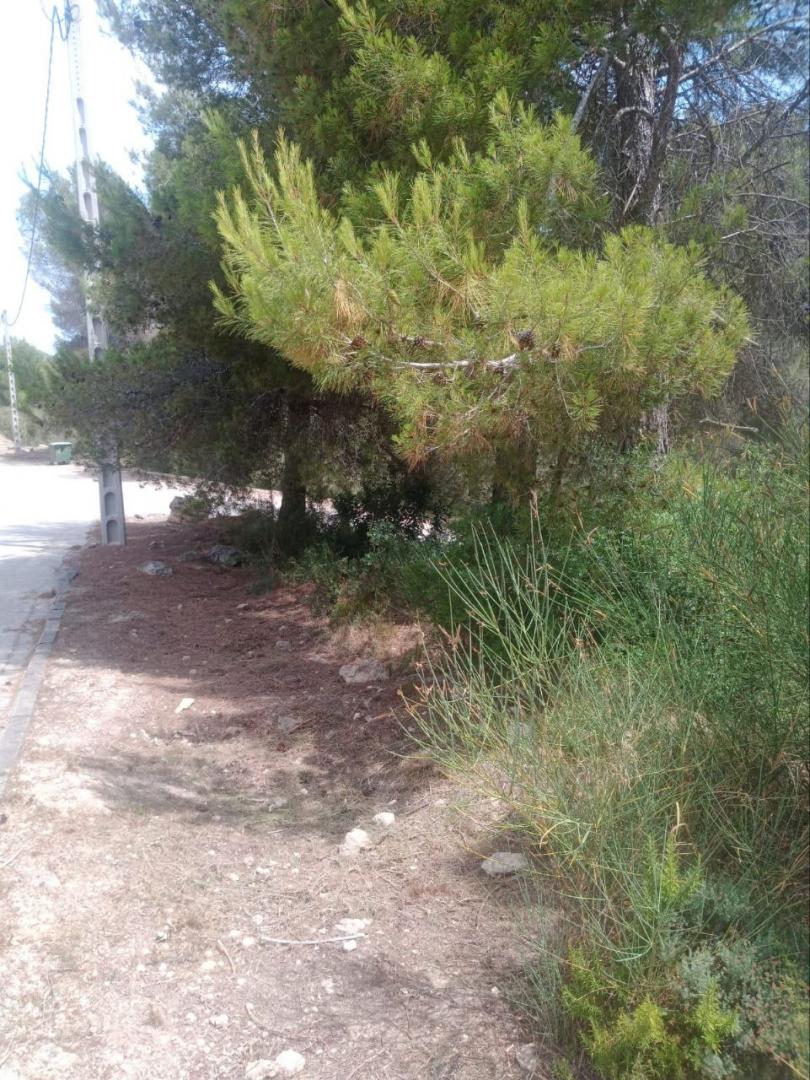 Suelo urbano – Canyelles  m2 photo3