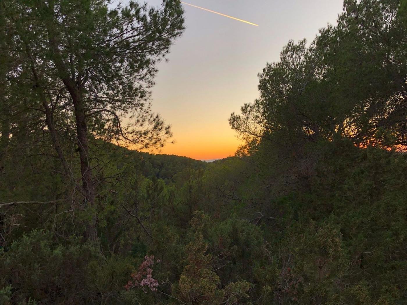 Altres cases – Sant Joan de Labritja  m2 photo4