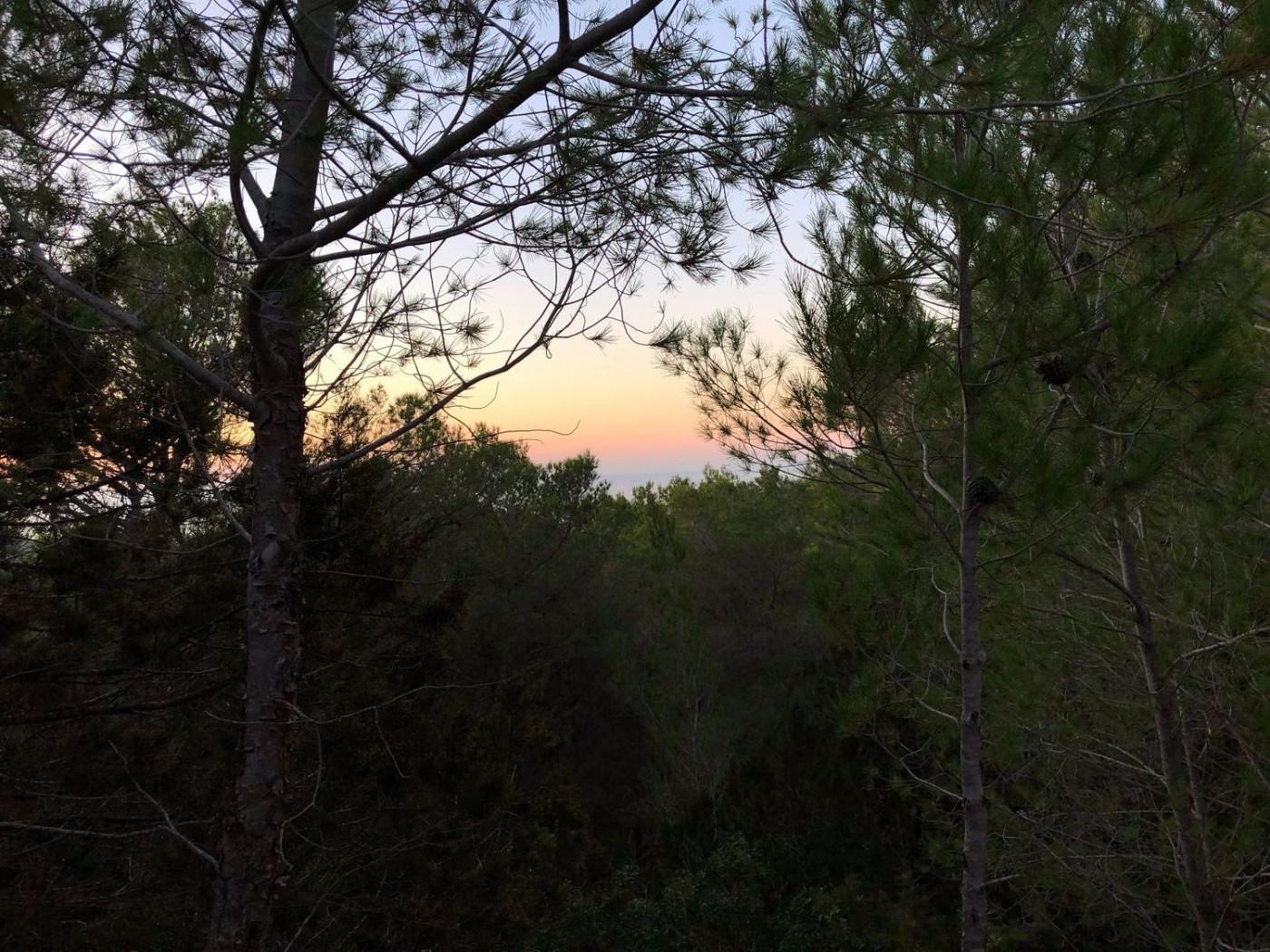 Altres cases – Sant Joan de Labritja  m2 photo11