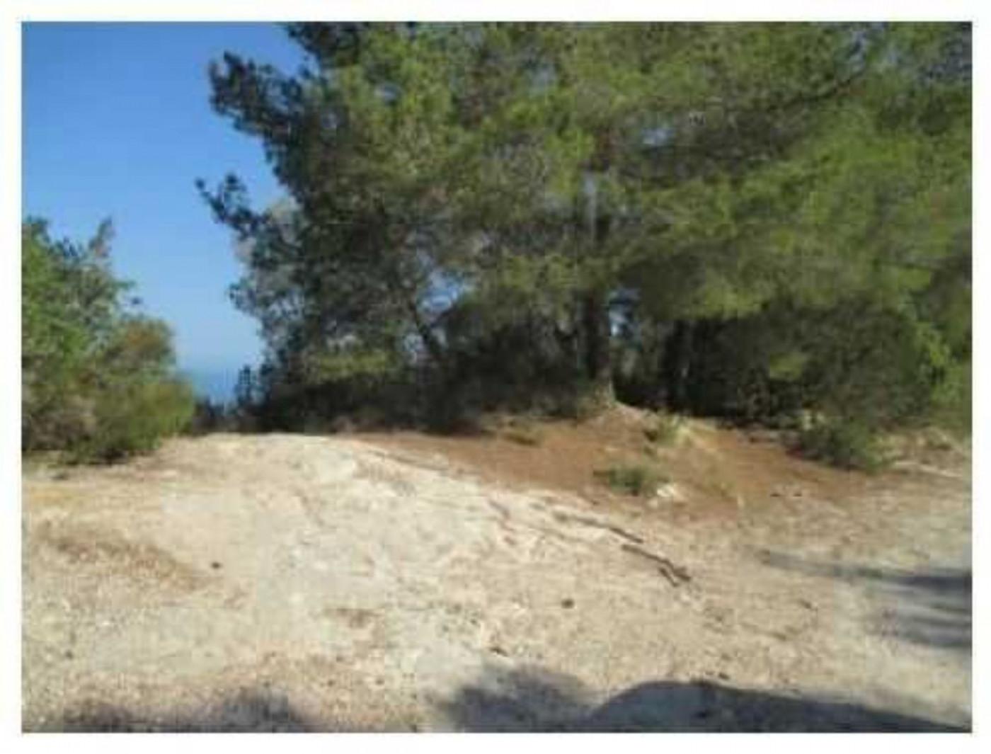 Altres cases – Sant Joan de Labritja  m2 photo6