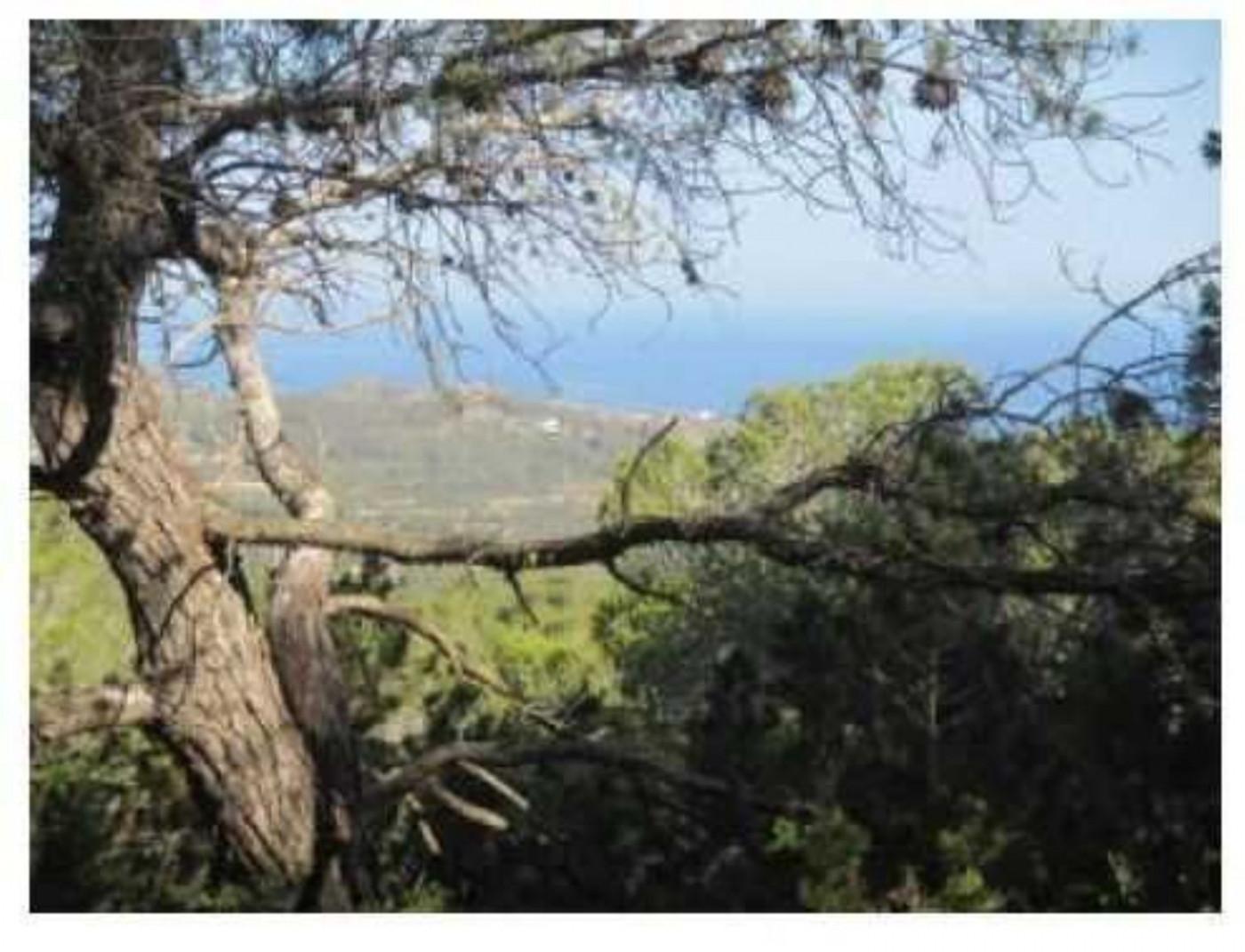 Altres cases – Sant Joan de Labritja  m2 photo3