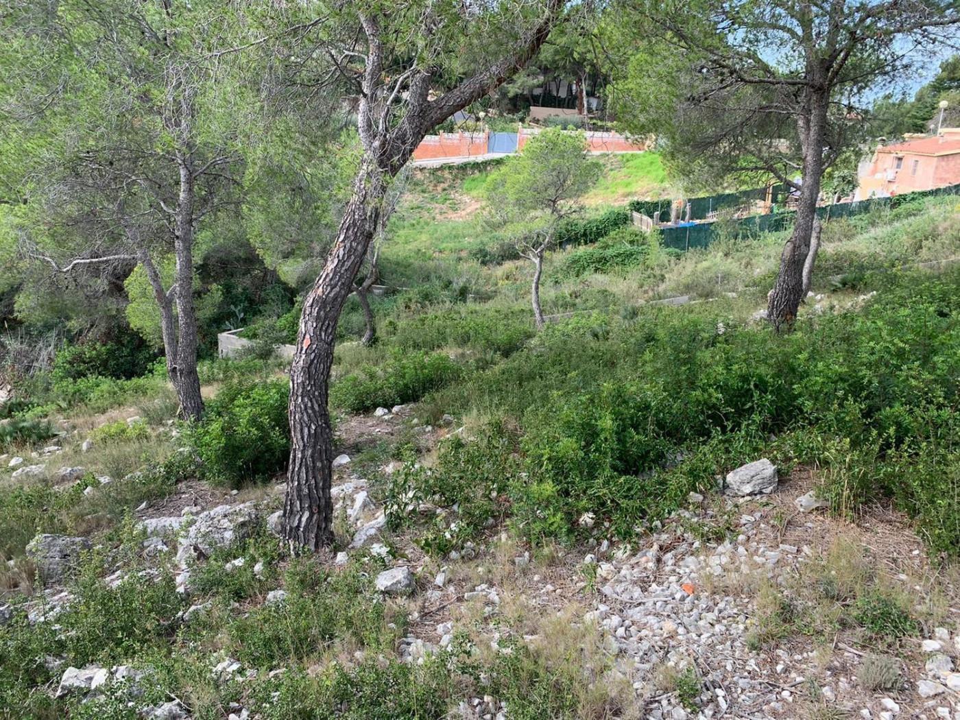 Altres cases – Castellet i la Gornal  m2 photo8