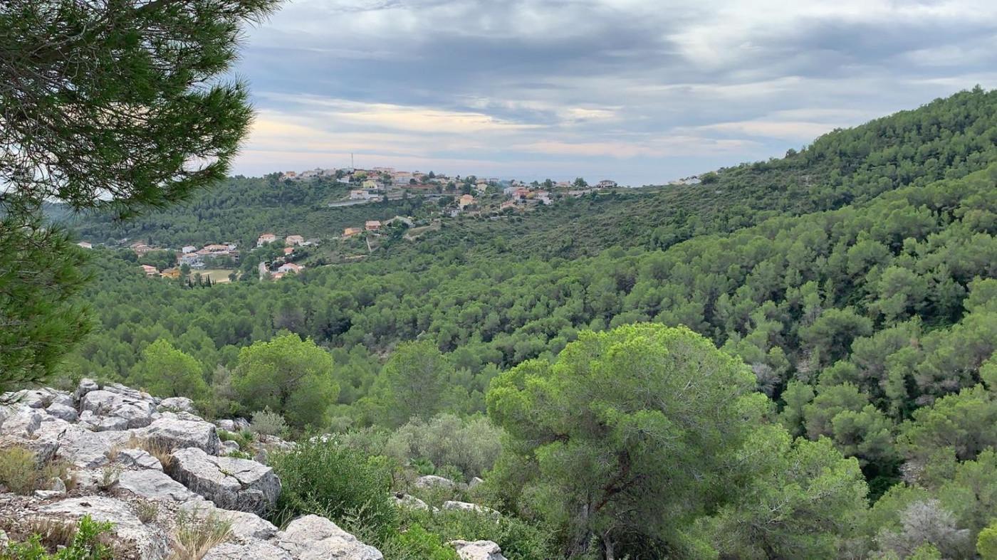 Altres cases – Castellet i la Gornal  m2 photo9