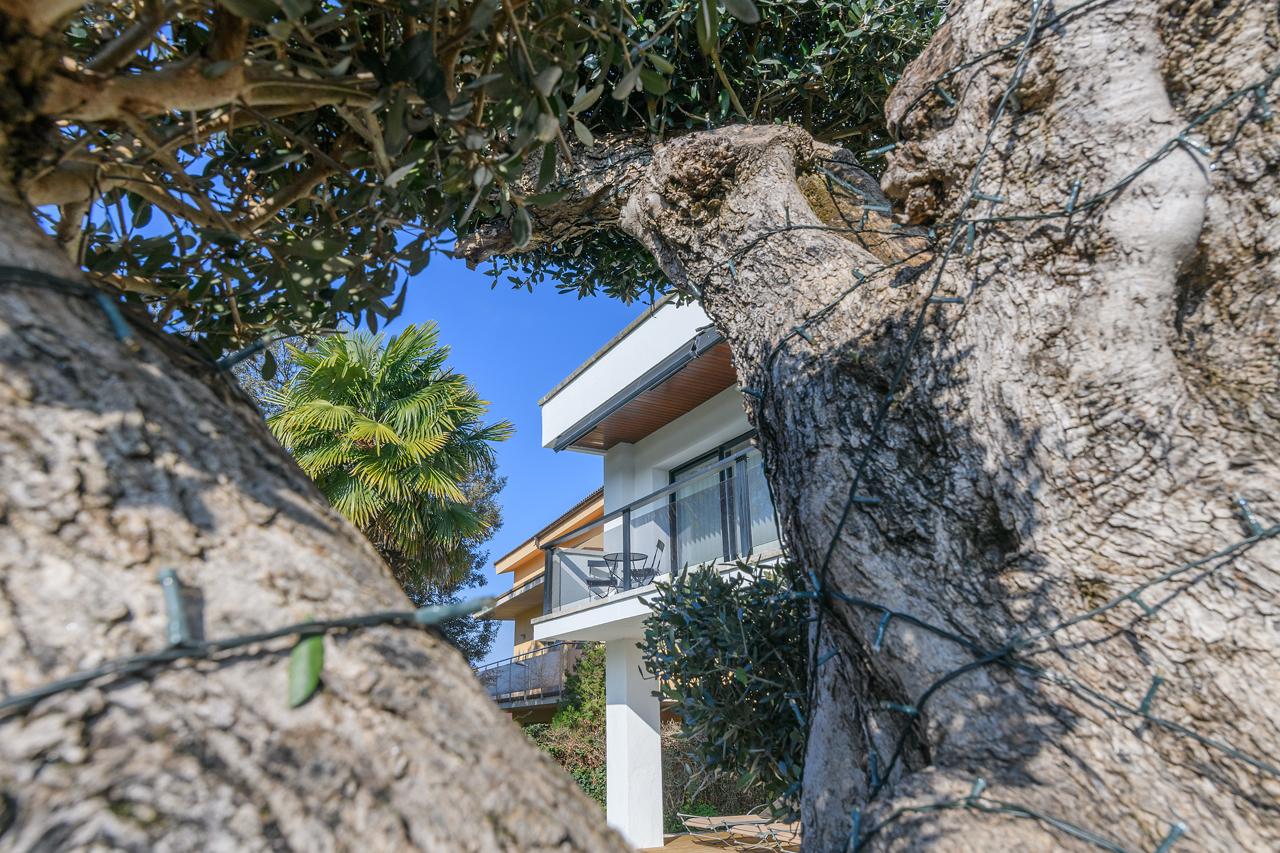 Chalet – Sant Fruitós de Bages 319.00 m2 photo36