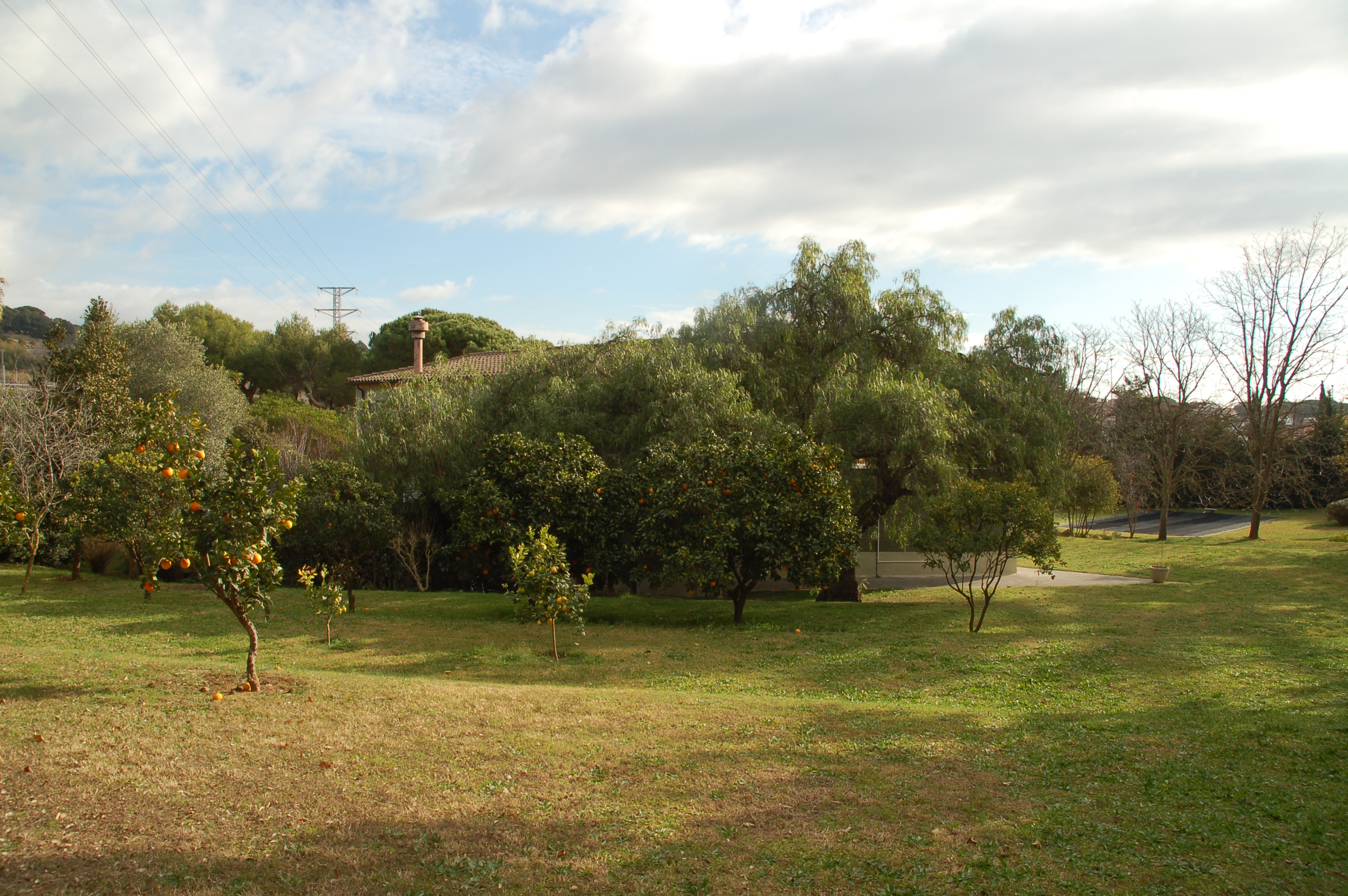 Chalet – Arenys de Munt 696.00 m2 photo37