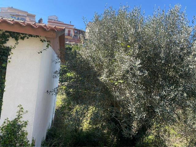 – Masquefa  m2 photo13