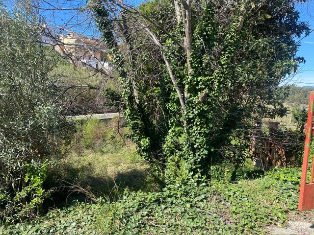 – Masquefa  m2 photo17