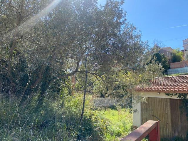 – Masquefa  m2 photo9