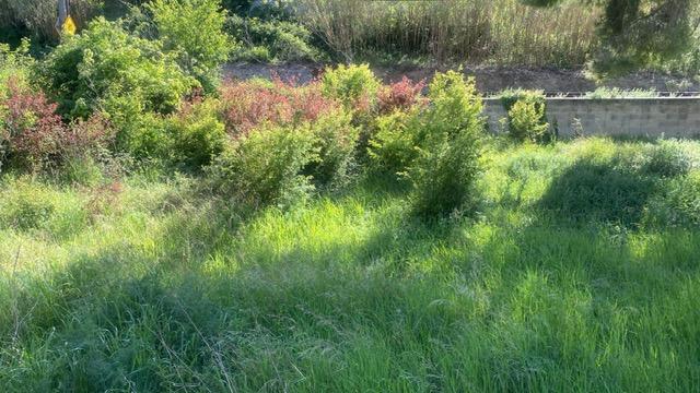 – Masquefa  m2 photo12