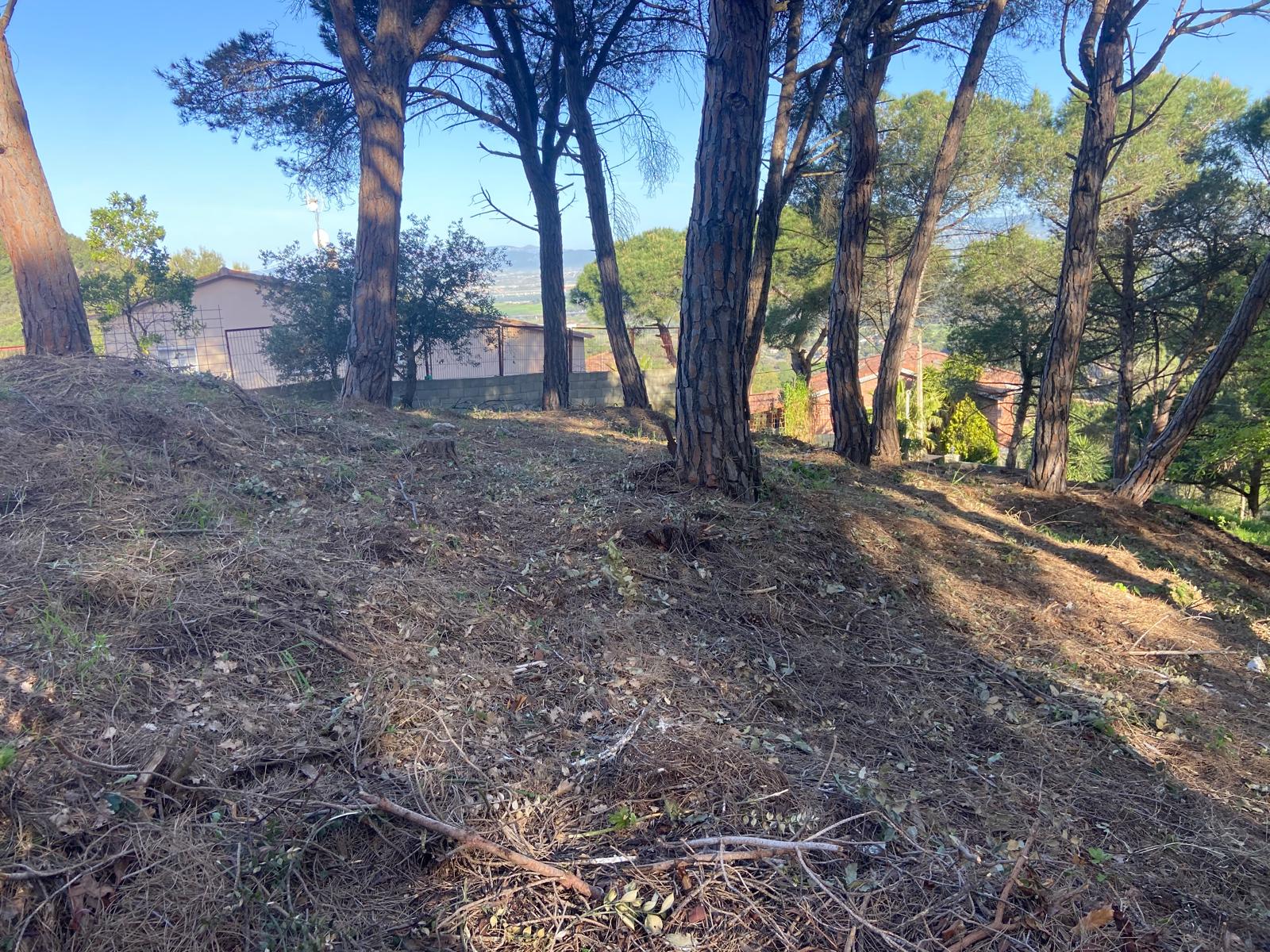 Suelo urbano – Vilanova del Vallès  m2 photo7