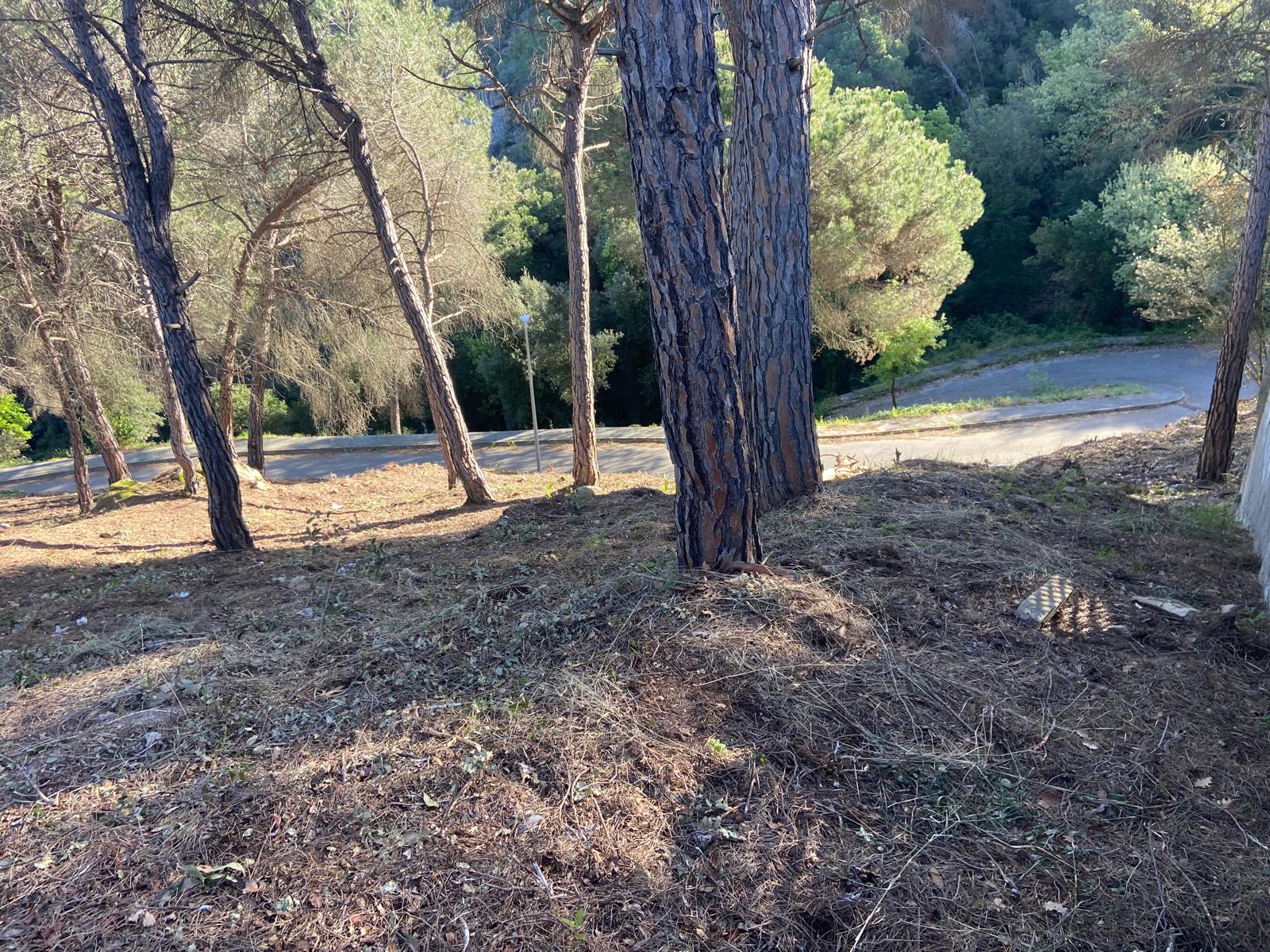 Suelo urbano – Vilanova del Vallès  m2 photo10