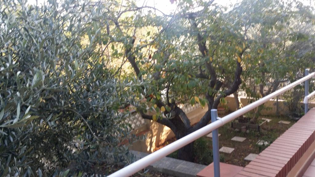 Chalet – Vallirana 380.00 m2 photo13
